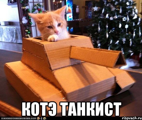  котэ танкист