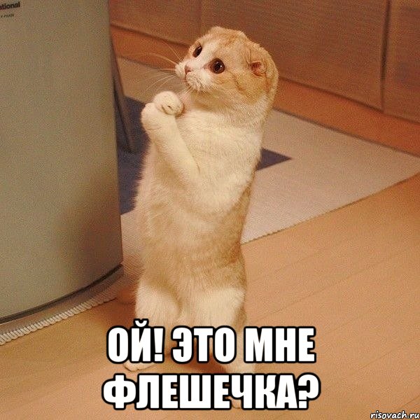  ой! это мне флешечка?, Мем  котэ молится