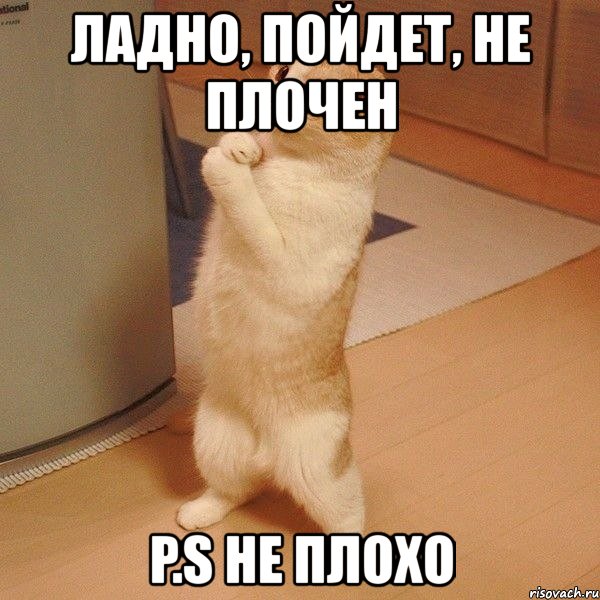 ладно, пойдет, не плочен p.s не плохо, Мем  котэ молится