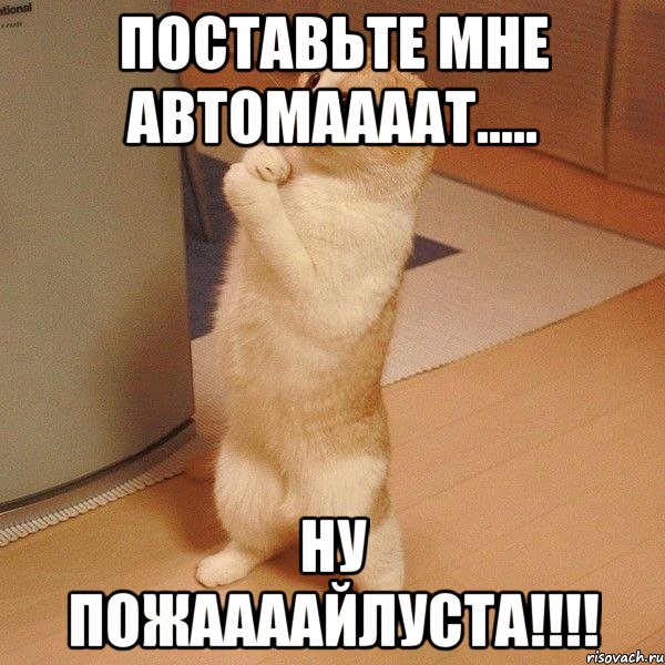 поставьте мне автомаааат..... ну пожаааайлуста!!!, Мем  котэ молится