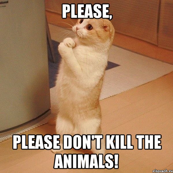 please, please don't kill the animals!, Мем  котэ молится