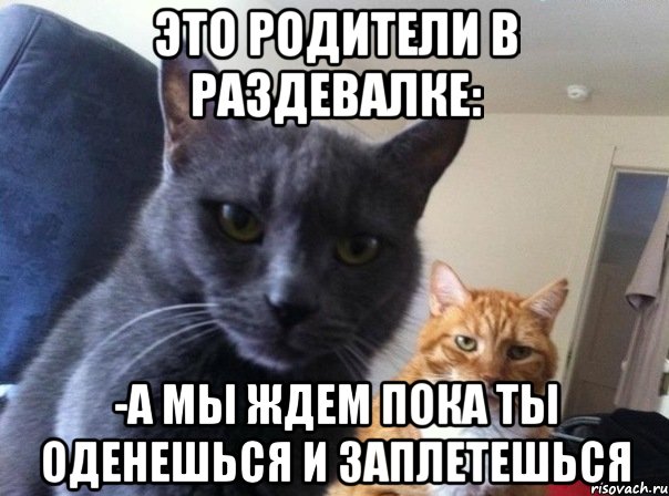 это родители в раздевалке: -а мы ждем пока ты оденешься и заплетешься, Мем  Два котэ