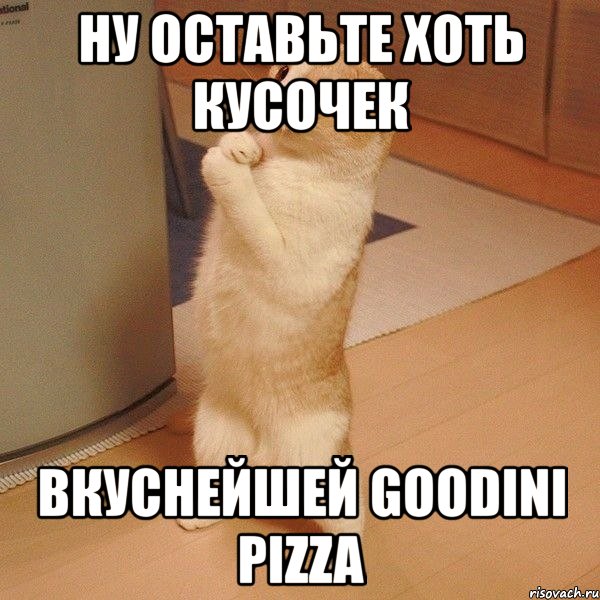 ну оставьте хоть кусочек вкуснейшей goodini pizza