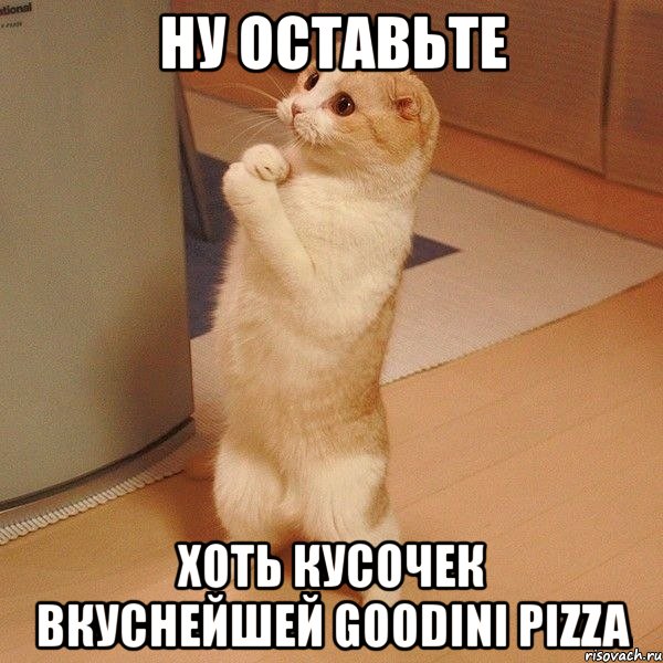 ну оставьте хоть кусочек вкуснейшей goodini pizza, Мем  котэ молится