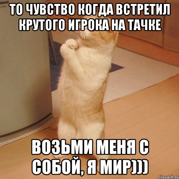 то чувство когда встретил крутого игрока на тачке возьми меня с собой, я мир))), Мем  котэ молится