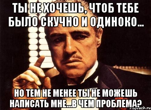 ты не хочешь, чтоб тебе было скучно и одиноко... но тем не менее ты не можешь написать мне...в чем проблема?, Мем крестный отец