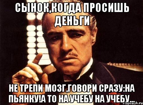 сынок,когда просишь деньги не трепи мозг,говори сразу:на пьянку!а то на учебу на учебу..., Мем крестный отец