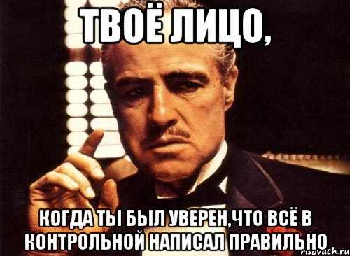 твоё лицо, когда ты был уверен,что всё в контрольной написал правильно, Мем крестный отец