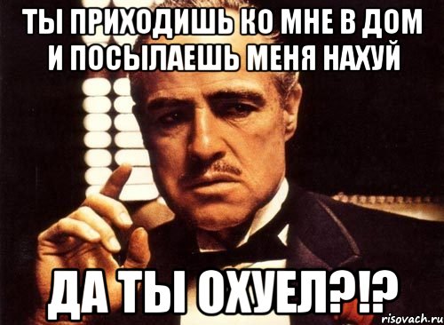 ты приходишь ко мне в дом и посылаешь меня нахуй да ты охуел?!?, Мем крестный отец