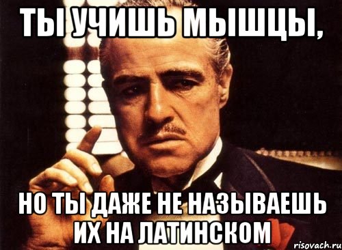 ты учишь мышцы, но ты даже не называешь их на латинском, Мем крестный отец