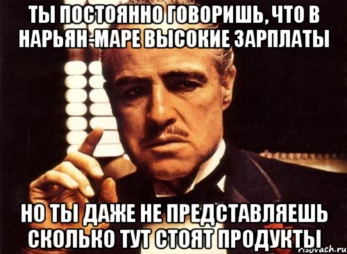 ты постоянно говоришь, что в нарьян-маре высокие зарплаты но ты даже не представляешь сколько тут стоят продукты, Мем крестный отец