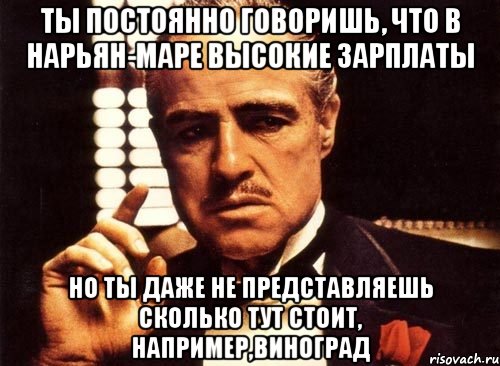 ты постоянно говоришь, что в нарьян-маре высокие зарплаты но ты даже не представляешь сколько тут стоит, например,виноград, Мем крестный отец