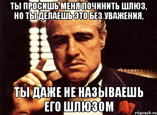 ты просишь меня починить шлюз, но ты делаешь это без уважения, ты даже не называешь его шлюзом, Мем крестный отец