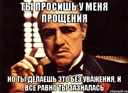 ты просишь у меня прощения но ты делаешь это без уважения, и все равно ты зазналась, Мем крестный отец