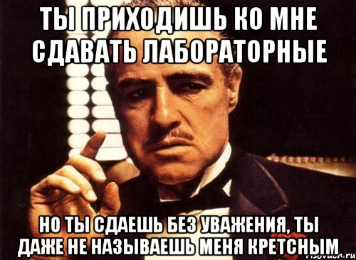 ты приходишь ко мне сдавать лабораторные но ты сдаешь без уважения, ты даже не называешь меня кретсным, Мем крестный отец