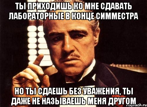 ты приходишь ко мне сдавать лабораторные в конце симместра но ты сдаешь без уважения, ты даже не называешь меня другом, Мем крестный отец