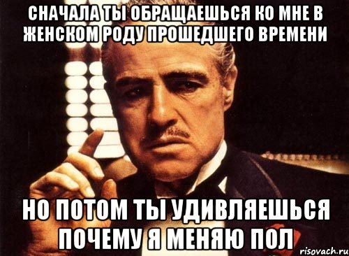 сначала ты обращаешься ко мне в женском роду прошедшего времени но потом ты удивляешься почему я меняю пол, Мем крестный отец