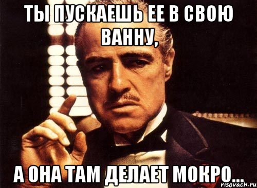 ты пускаешь ее в свою ванну, а она там делает мокро..., Мем крестный отец