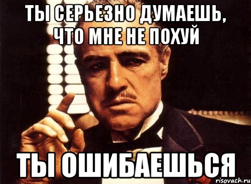 ты серьезно думаешь, что мне не похуй ты ошибаешься, Мем крестный отец