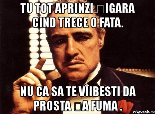 tu tot aprinzi țigara cind trece o fata. nu ca sa te vîibesti da prosta ța fuma ., Мем крестный отец