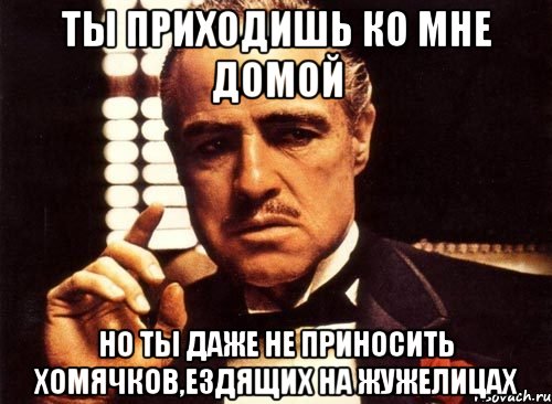 ты приходишь ко мне домой но ты даже не приносить хомячков,ездящих на жужелицах, Мем крестный отец