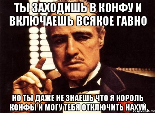 ты заходишь в конфу и включаешь всякое гавно но ты даже не знаешь что я король конфы и могу тебя отключить нахуй, Мем крестный отец