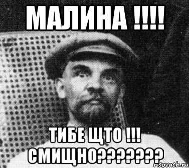 малина !!! тибе щто !!! смищно???, Мем   Ленин удивлен