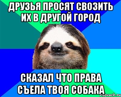 друзья просят свозить их в другой город сказал что права съела твоя собака