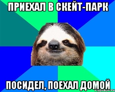 приехал в скейт-парк посидел, поехал домой