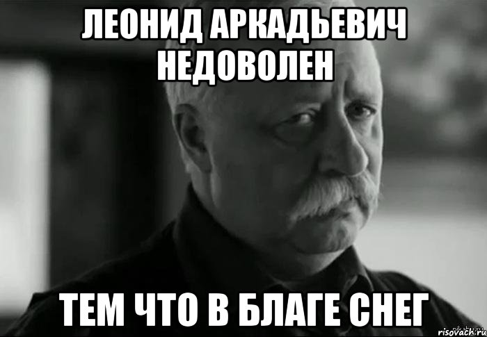 леонид аркадьевич недоволен тем что в благе снег