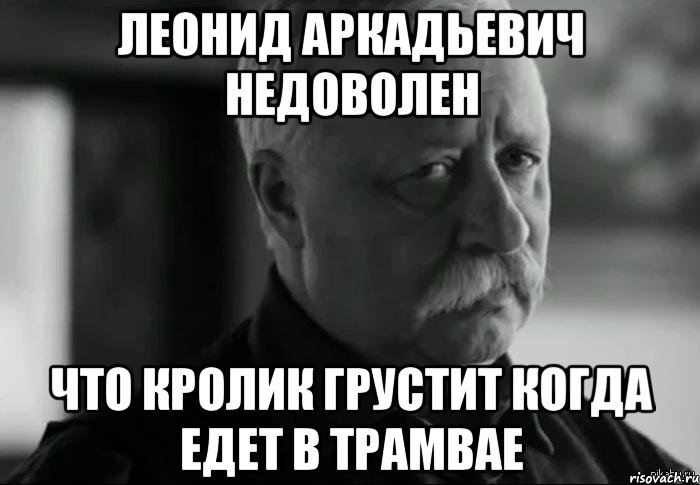 леонид аркадьевич недоволен что кролик грустит когда едет в трамвае, Мем Не расстраивай Леонида Аркадьевича