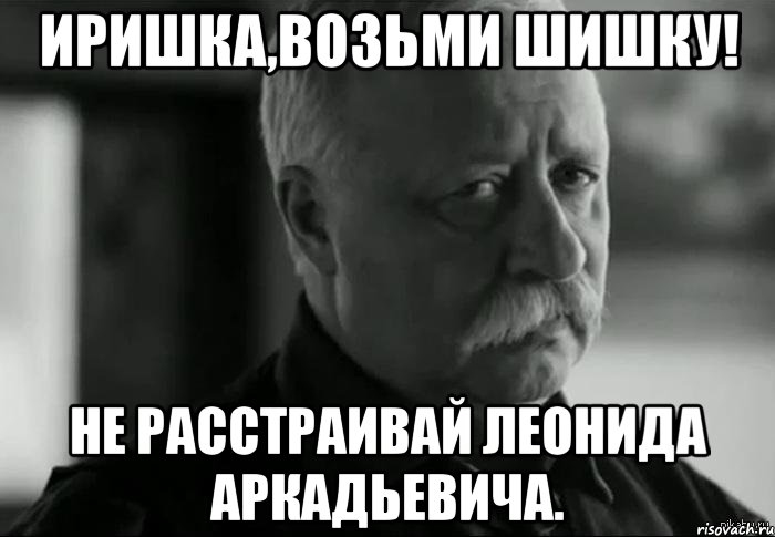 иришка,возьми шишку! не расстраивай леонида аркадьевича., Мем Не расстраивай Леонида Аркадьевича