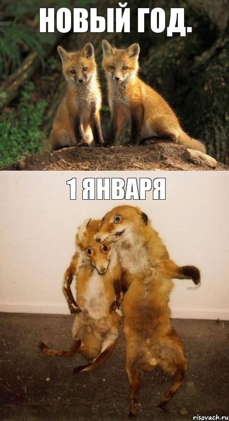 Новый год. 1 января