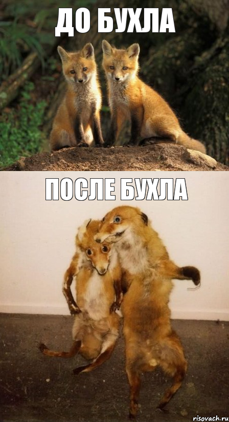 До бухла После бухла