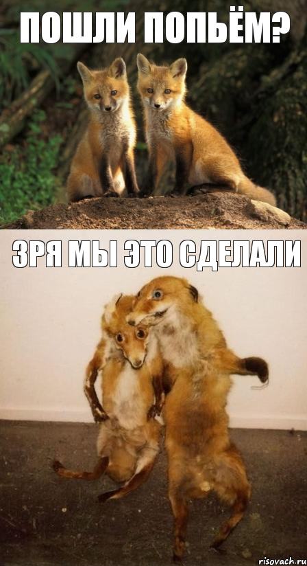 пошли попьём? зря мы это сделали