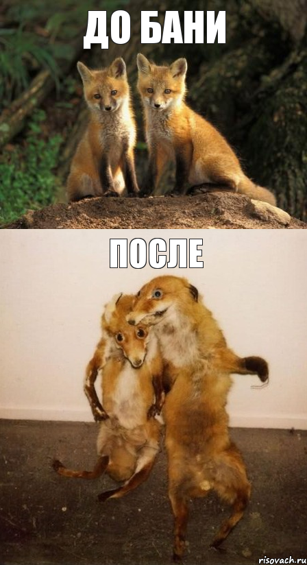 ДО БАНИ ПОСЛЕ