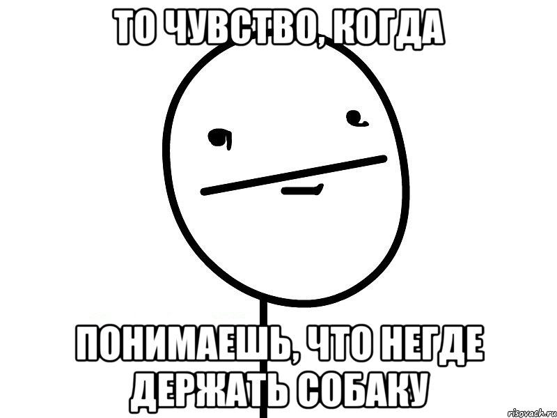 то чувство, когда понимаешь, что негде держать собаку, Мем Покерфэйс