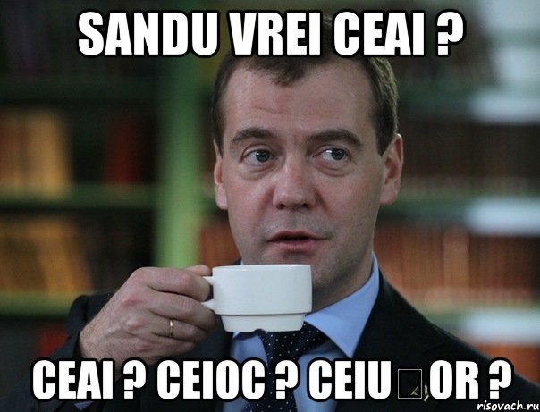 sandu vrei ceai ? ceai ? ceioc ? ceiușor ?, Мем Медведев спок бро