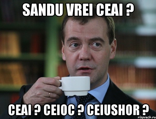 sandu vrei ceai ? ceai ? ceioc ? ceiushor ?, Мем Медведев спок бро