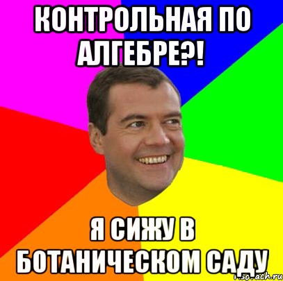 контрольная по алгебре?! я сижу в ботаническом саду