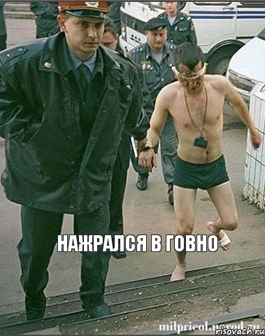 нажрался в говно 