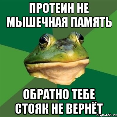 протеин не мышечная память обратно тебе стояк не вернёт, Мем  Мерзкая жаба