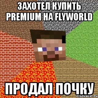 захотел купить premium на flyworld продал почку, Мем Миникрафтер