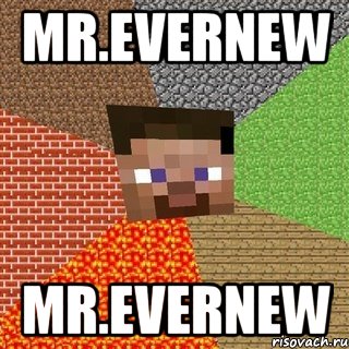 mr.evernew mr.evernew, Мем Миникрафтер