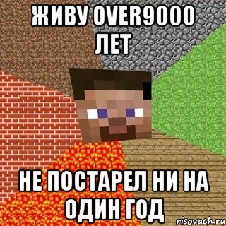 живу over9000 лет не постарел ни на один год, Мем Миникрафтер