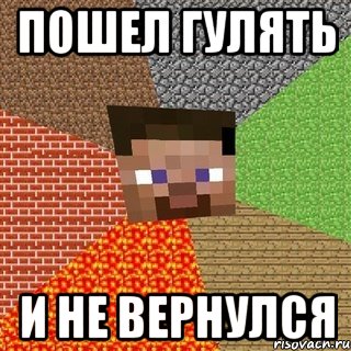 пошел гулять и не вернулся, Мем Миникрафтер