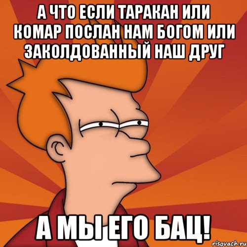 а что если таракан или комар послан нам богом или заколдованный наш друг а мы его бац!, Мем Мне кажется или (Фрай Футурама)