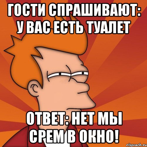 гости спрашивают: у вас есть туалет ответ: нет мы срем в окно!, Мем Мне кажется или (Фрай Футурама)