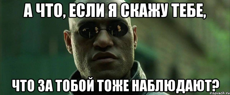 а что, если я скажу тебе, что за тобой тоже наблюдают?