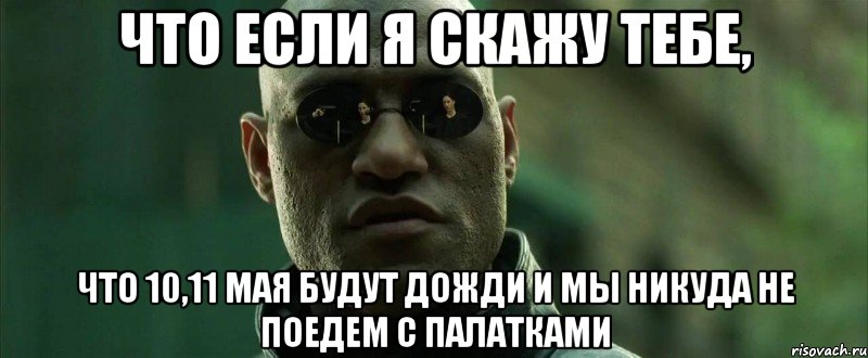 что если я скажу тебе, что 10,11 мая будут дожди и мы никуда не поедем с палатками, Мем  морфеус